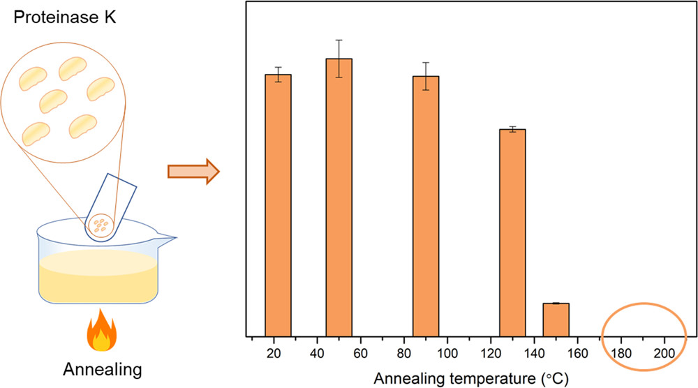 TOC_Investigation-of-the-Thermal-Stability_of-Proteinase_K-for_the-Melt-Processing-of-Poly-L-lactide