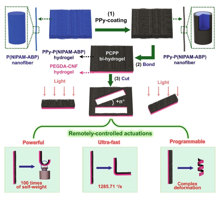 A robust anisotropic light-responsive hydrogel for ultrafast and ...