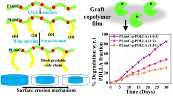 Synthesis and degradation study of graft copolymers