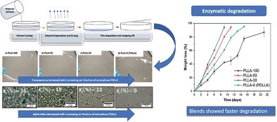 Balancing Degradability and Physical Properties of Amorphous Poly (D, L‐lactide) by Making Blends
