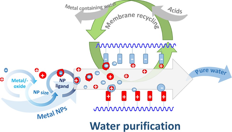 Sustainable Electrospun Affinity Membranes for Water Remediation by Removing Metal and Metal Oxide Nanoparticles