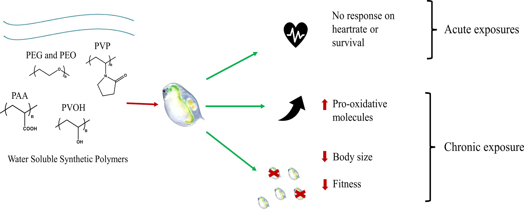 TOC_20221115_Beyond microplastics Water soluble synthetic polymers