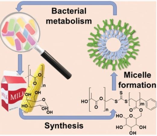 TOC_Efficient Synthesis and Wetting Characteristics of Amphiphilic Galactose-PLA Block Copolymers