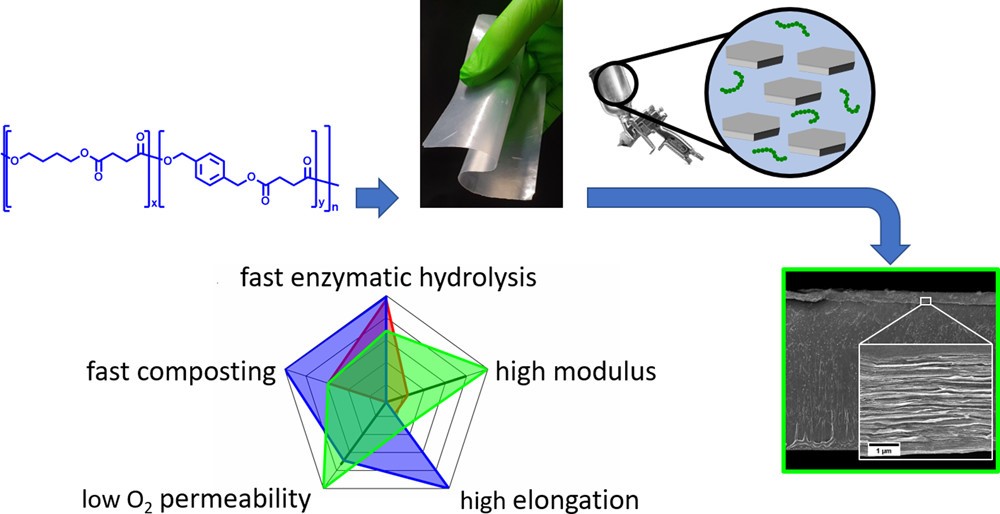 Stretchable and Fast Composting Polyester Films with High-Performance Oxygen Barrier