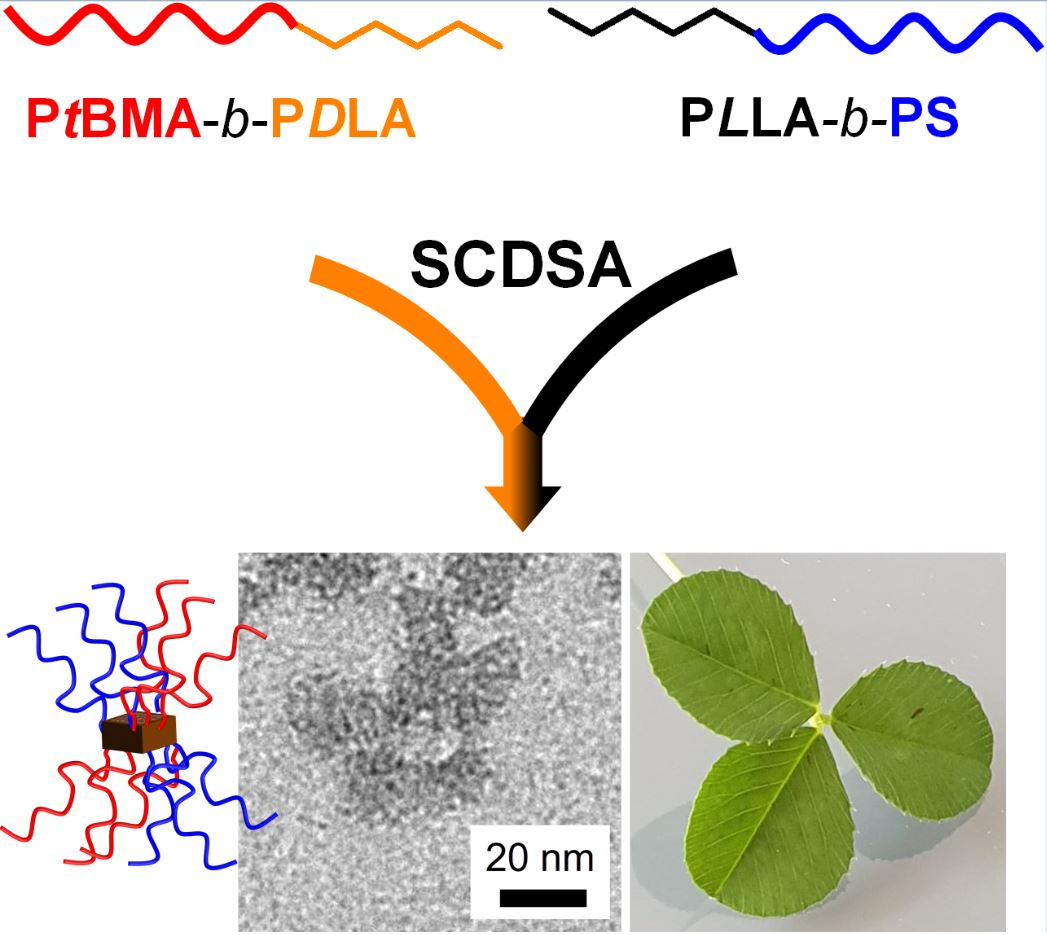 TOC_Surface-Compartmentalized Micelles