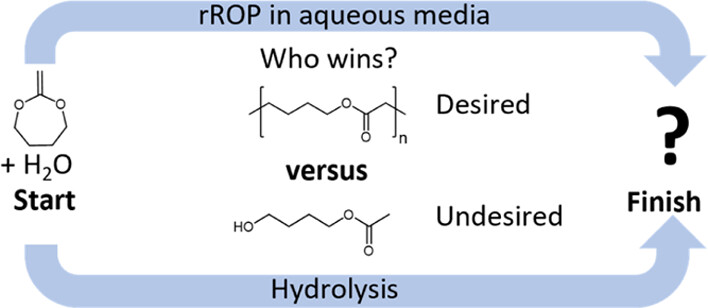 TOC_20230117_Competition_between_Hydrolysis_and_Radical_Ring-Opening_Polymerization_of_MDO_in_Water_Who_Makes_the_Race