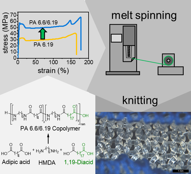 TOC_20230605_Toughening_of_Bio-Based_PA_6_19_by_Copolymerization_with_PA_6_6_Synthesis_and_Production_of_Melt-Spun_Monofilaments_and_Knitted_Fabrics