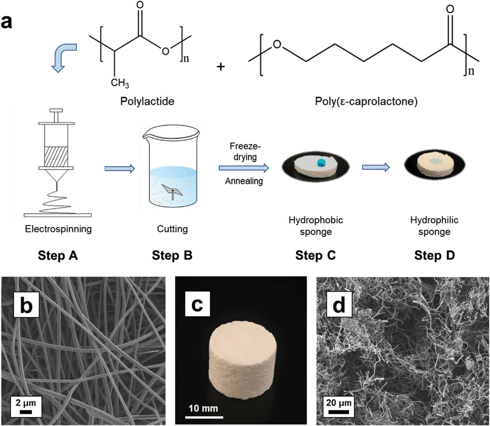 TOC_20230626_Thoroughly Hydrophilized Electrospun Sponges