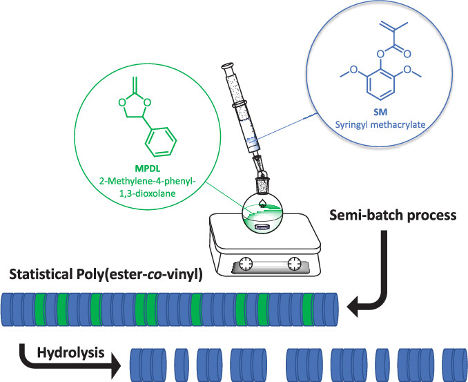 TOC_20230925_High Tg Poly(ester-co-vinyl)s with Compositional Homogeneity