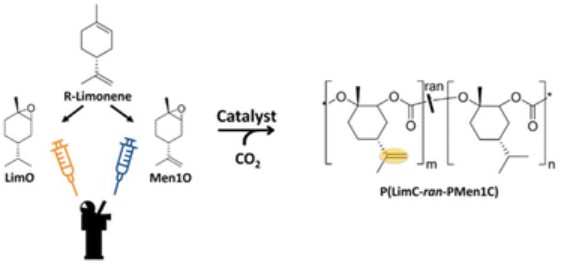 The increasing shortage in fossil resources creates a strong demand for the development of bio-based polymers with tailored properties, not competing with food resources. Polycarbonates, produced by ring-opening copolymerization (ROCOP) of epoxides a